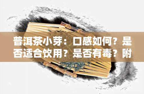 普洱茶小芽：口感如何？是否适合饮用？是否有？附图解析