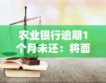 农业银行逾期1个月未还：将面临严重后果！