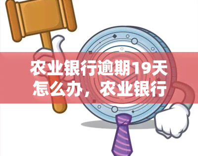 农业银行逾期19天怎么办，农业银行逾期19天处理攻略