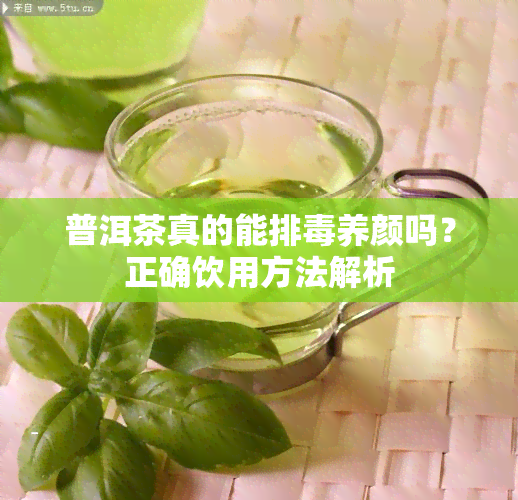 普洱茶真的能排养颜吗？正确饮用方法解析