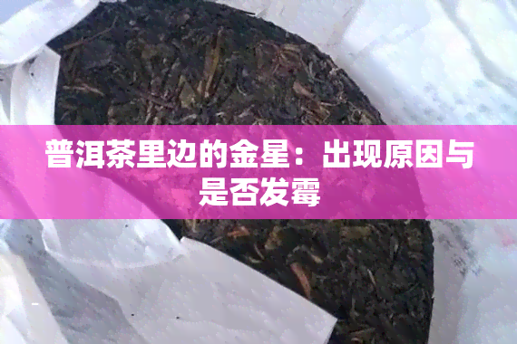 普洱茶里边的金星：出现原因与是否发霉