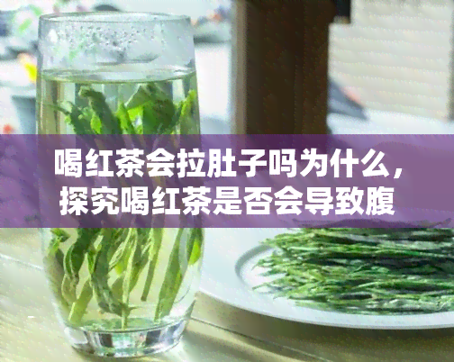 喝红茶会拉肚子吗为什么，探究喝红茶是否会导致腹泻及其原因