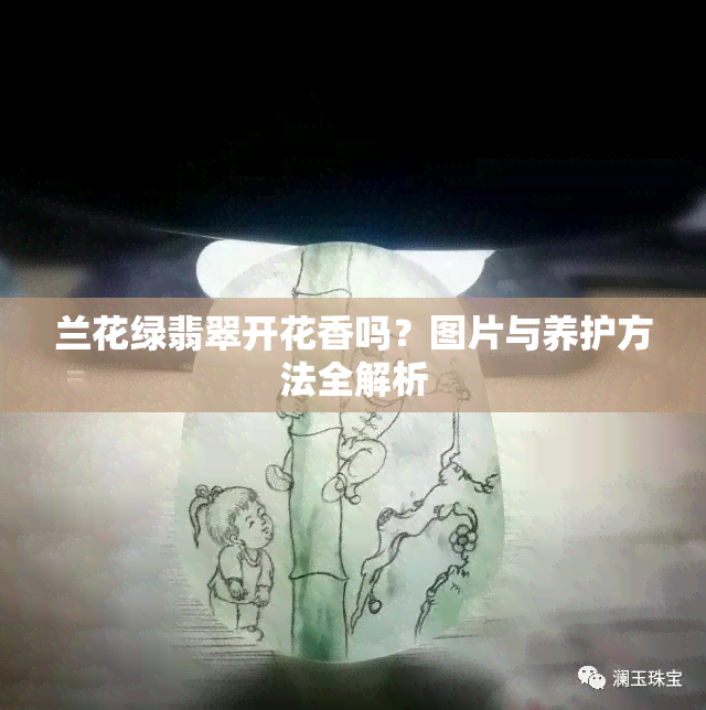 兰花绿翡翠开花香吗？图片与养护方法全解析