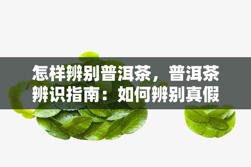 怎样辨别普洱茶，普洱茶辨识指南：如何辨别真假普洱茶？