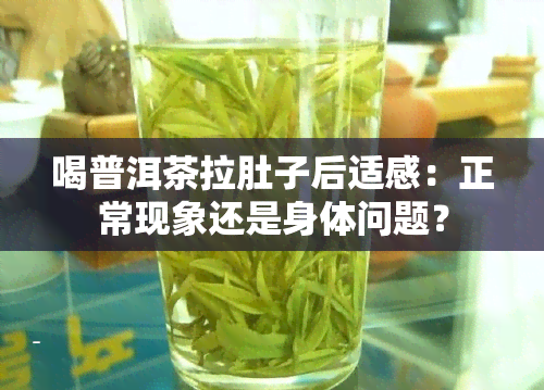 喝普洱茶拉肚子后适感：正常现象还是身体问题？