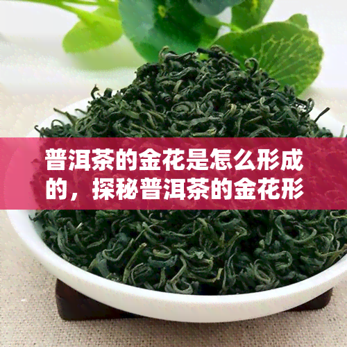 普洱茶的金花是怎么形成的，探秘普洱茶的金花形成：神秘过程解析