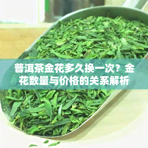 普洱茶金花多久换一次？金花数量与价格的关系解析