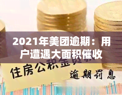 2021年美团逾期：用户遭遇大面积，平台回应称已优化还款流程