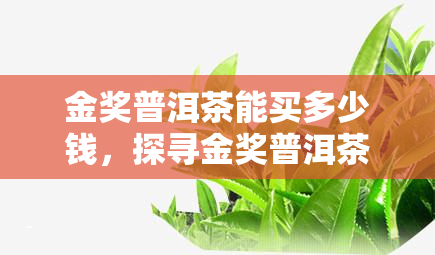 金奖普洱茶能买多少钱，探寻金奖普洱茶的价格：你能花多少钱购买这款珍品？