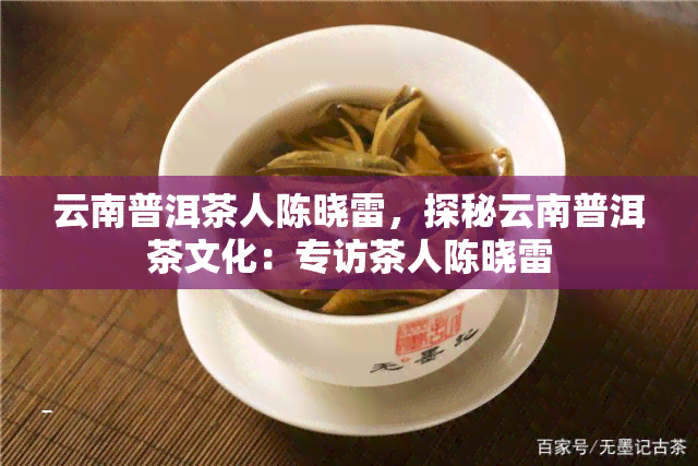 云南普洱茶人陈晓雷，探秘云南普洱茶文化：专访茶人陈晓雷