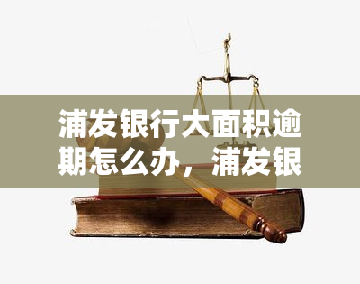 浦发银行大面积逾期怎么办，浦发银行大面积逾期处理方法探讨