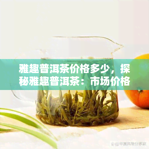 雅趣普洱茶价格多少，探秘雅趣普洱茶：市场价格解析与购买建议