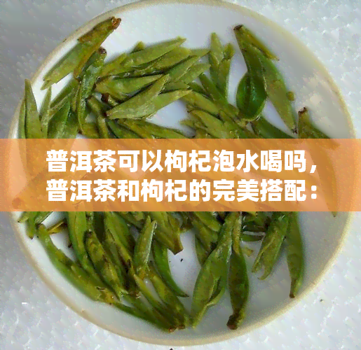 普洱茶可以枸杞泡水喝吗，普洱茶和枸杞的完美搭配：探究二者泡水喝的功效