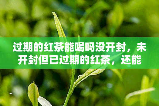 过期的红茶能喝吗没开封，未开封但已过期的红茶，还能饮用吗？