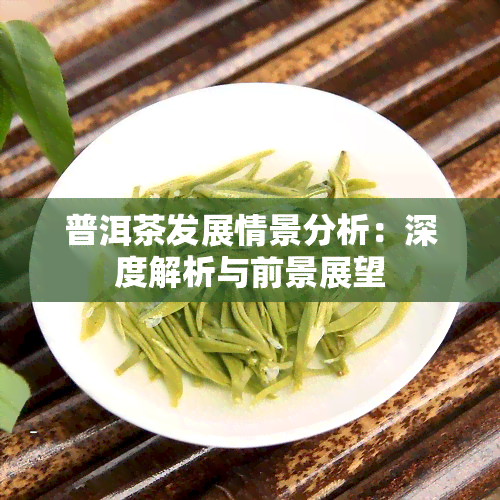 普洱茶发展情景分析：深度解析与前景展望