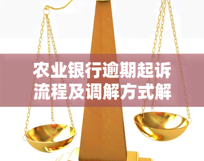 农业银行逾期起诉流程及调解方式解析