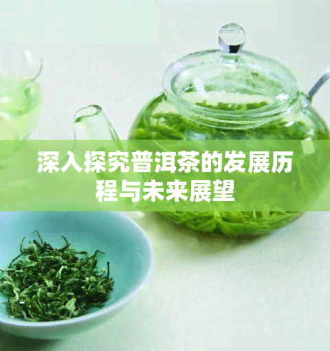 深入探究普洱茶的发展历程与未来展望