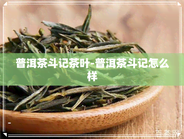 普洱茶斗记茶叶-普洱茶斗记怎么样