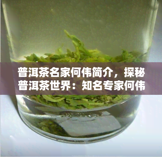 普洱茶名家何伟简介，探秘普洱茶世界：知名专家何伟的生平与贡献