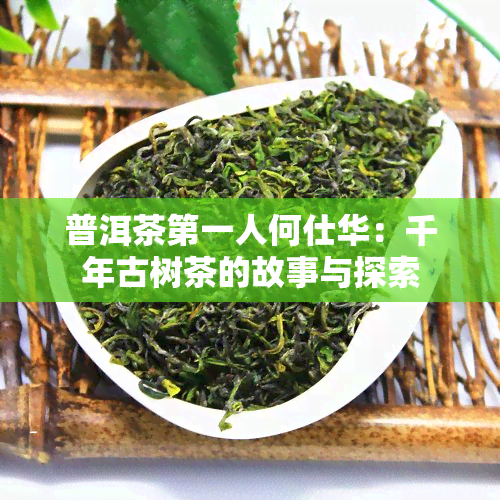 普洱茶之一人何仕华：千年古树茶的故事与探索