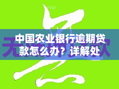 中国农业银行逾期贷款怎么办？详解处理步骤与方法