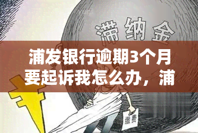 浦发银行逾期3个月要起诉我怎么办，浦发银行逾期3个月，面临被起诉风险，我该怎么做？