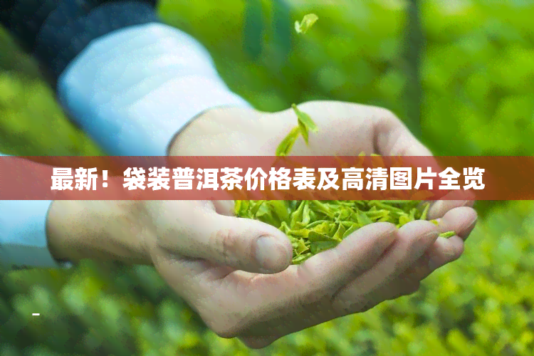 最新！袋装普洱茶价格表及高清图片全览