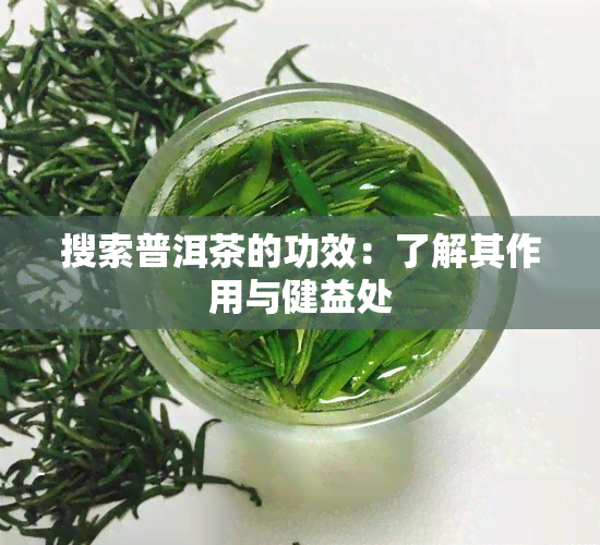 搜索普洱茶的功效：了解其作用与健益处