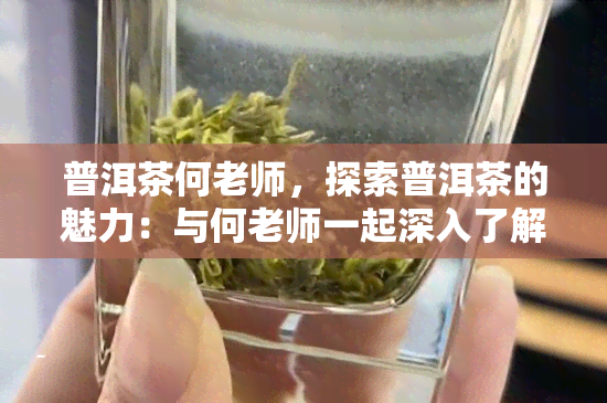 普洱茶何老师，探索普洱茶的魅力：与何老师一起深入了解中国茶文化