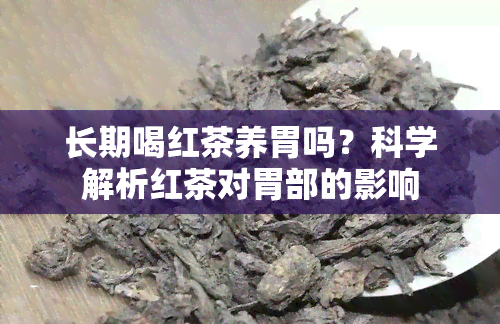 长期喝红茶养胃吗？科学解析红茶对胃部的影响