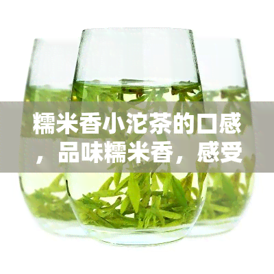 糯米香小沱茶的口感，品味糯米香，感受小沱茶的独特口感