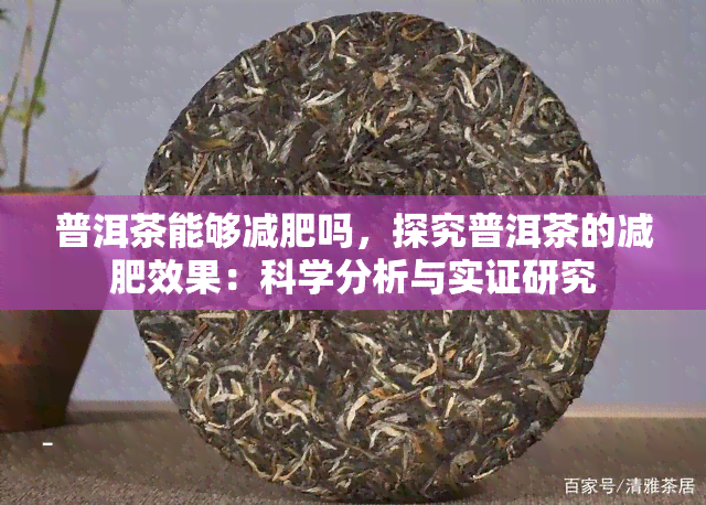 普洱茶能够减肥吗，探究普洱茶的减肥效果：科学分析与实证研究