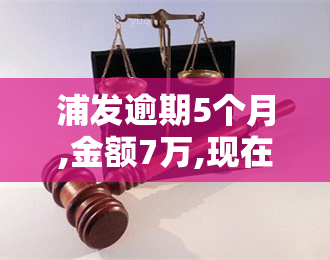 浦发逾期5个月,金额7万,现在都不打电话，浦发信用卡逾期5个月，金额达7万，现未接到催款电话