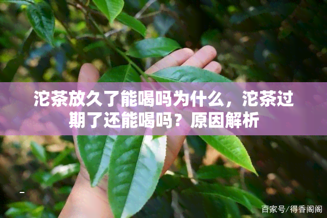 沱茶放久了能喝吗为什么，沱茶过期了还能喝吗？原因解析