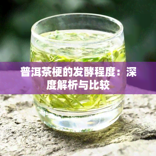 普洱茶梗的发酵程度：深度解析与比较