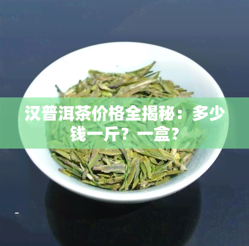 汉普洱茶价格全揭秘：多少钱一斤？一盒？