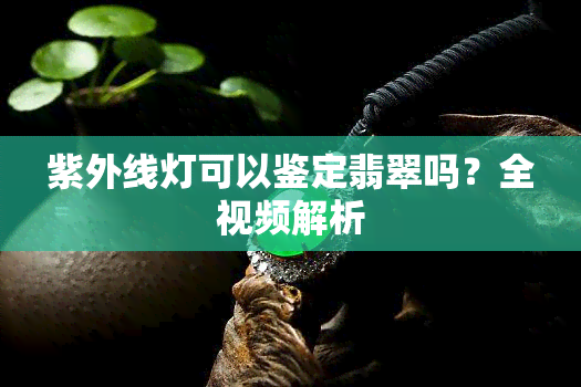 紫外线灯可以鉴定翡翠吗？全视频解析