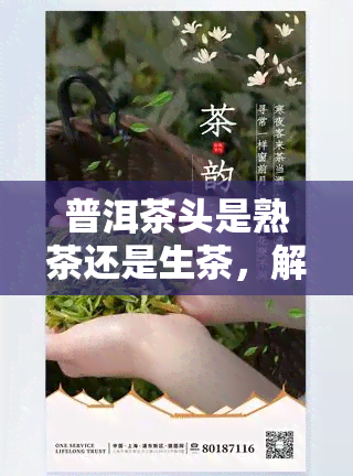 普洱茶头是熟茶还是生茶，解答疑惑：普洱茶头究竟是熟茶还是生茶？