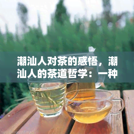 潮汕人对茶的感悟，潮汕人的茶道哲学：一种独特的感悟和生活方式