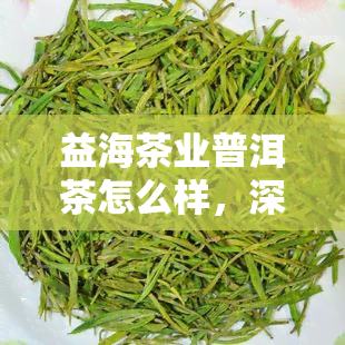 益海茶业普洱茶怎么样，深度解析：益海茶业普洱茶的品质与口感如何？