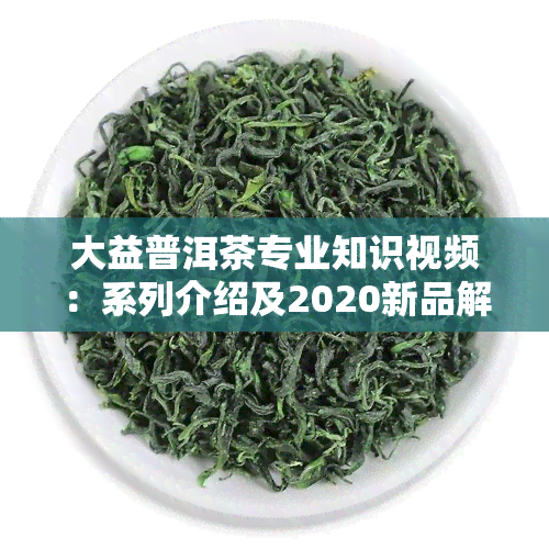 大益普洱茶专业知识视频：系列介绍及2020新品解析