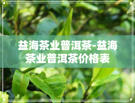 益海茶业普洱茶-益海茶业普洱茶价格表