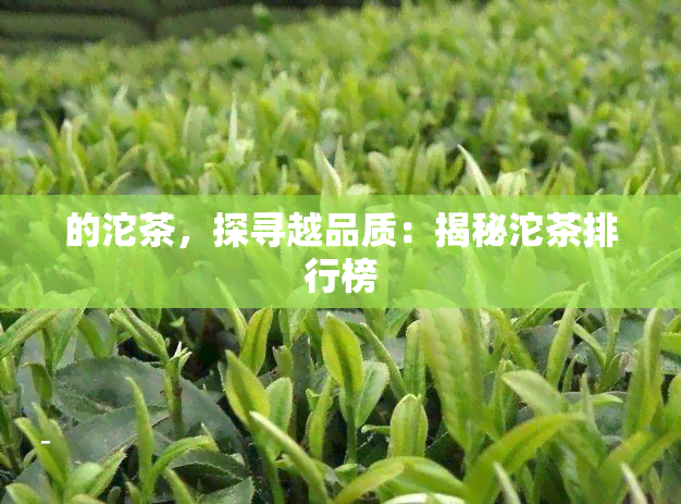 的沱茶，探寻越品质：揭秘沱茶排行榜