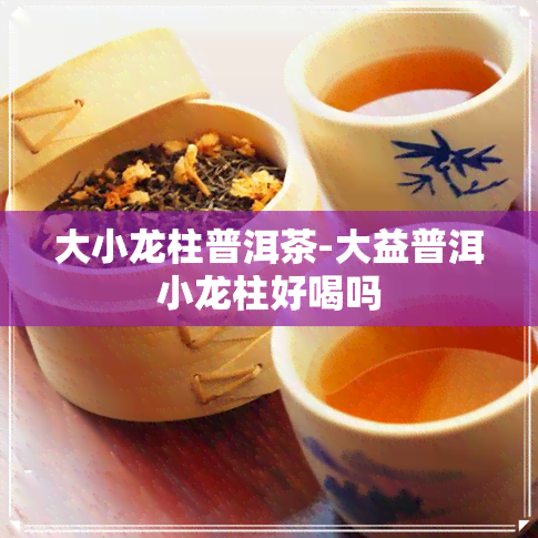 大小龙柱普洱茶-大益普洱小龙柱好喝吗