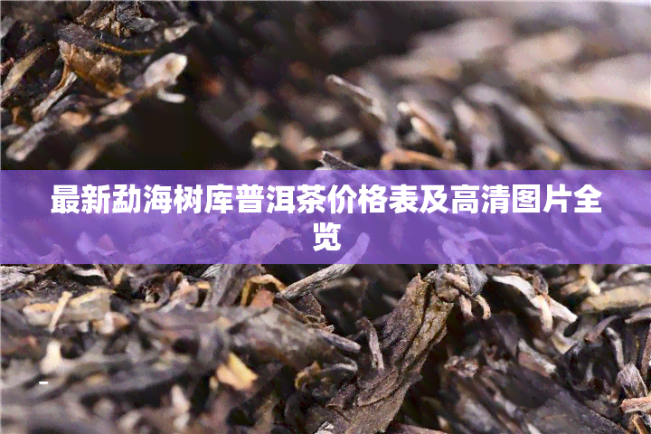 最新勐海树库普洱茶价格表及高清图片全览