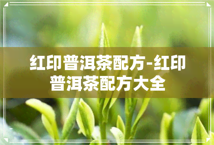 红印普洱茶配方-红印普洱茶配方大全