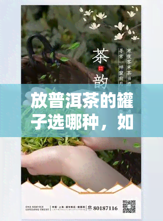 放普洱茶的罐子选哪种，如何选择适合存放普洱茶的罐子？