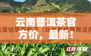 云南普洱茶官方价，最新！云南普洱茶官方价格一览表