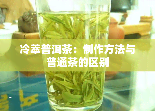 冷萃普洱茶：制作方法与普通茶的区别