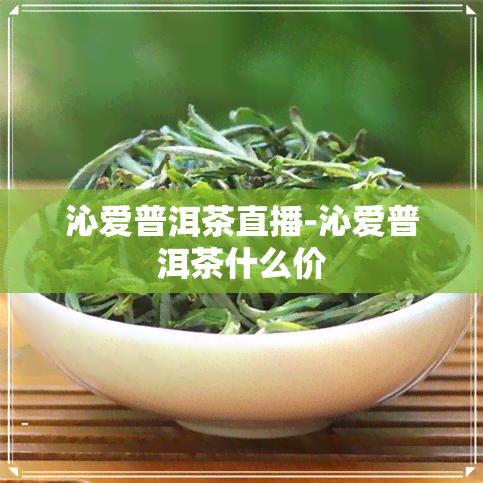 沁爱普洱茶直播-沁爱普洱茶什么价